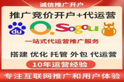 从小白到高手：百度竞价赚钱全记录